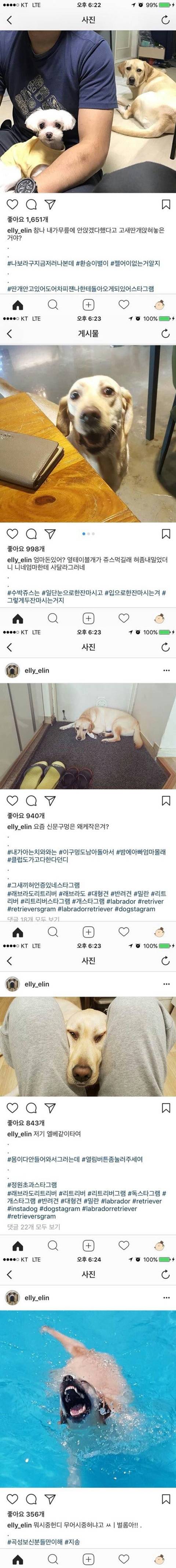 주인이 쓴 멍뭉이 일기.jpg