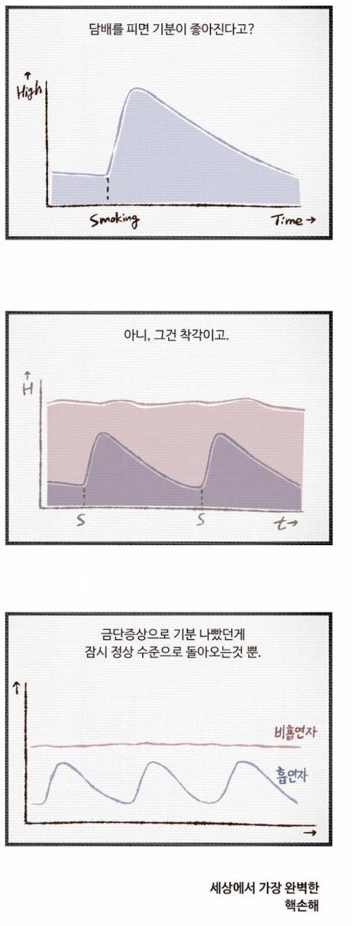 흡연자의 착각.jpg