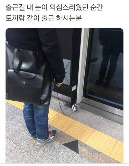 출근길 눈을 의심하게 된 순간.jpg