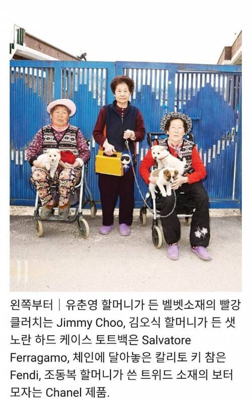 특이점이 온 명품 화보.jpg