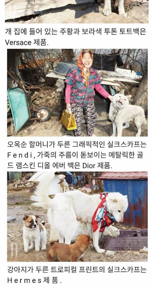 특이점이 온 명품 화보.jpg