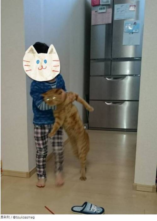 고양이 사진 컨테스트 .jpg