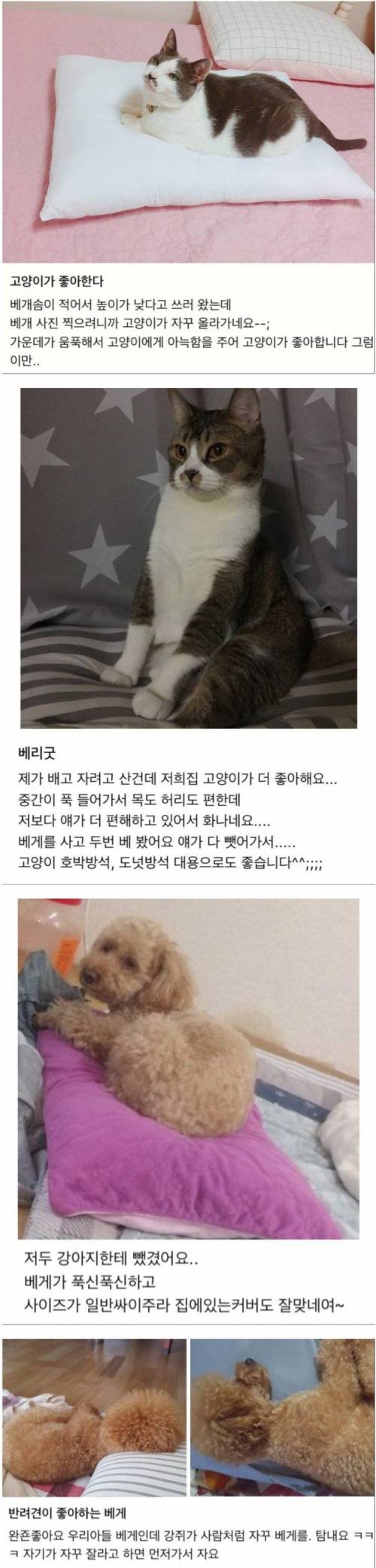 베개 구매 후기.jpg