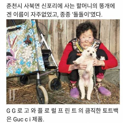 특이점이 온 명품 화보.jpg