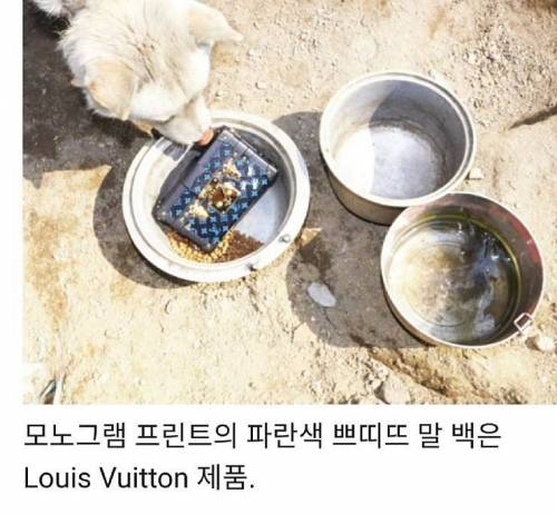 특이점이 온 명품 화보.jpg