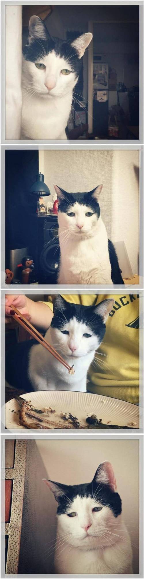 사는게 재미가 없냥.jpg