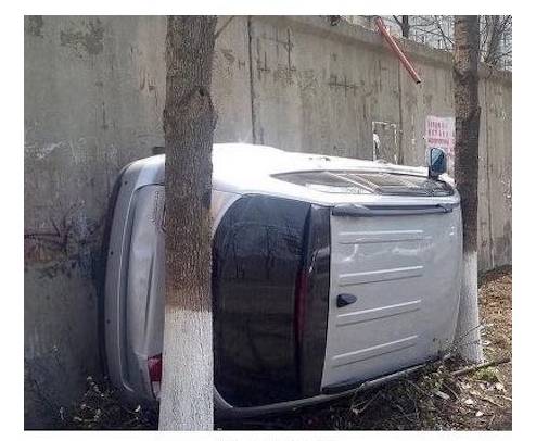 과학적으로 설명이 안되는 짤들.jpg