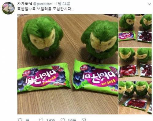 보일러의 위험성.jpg
