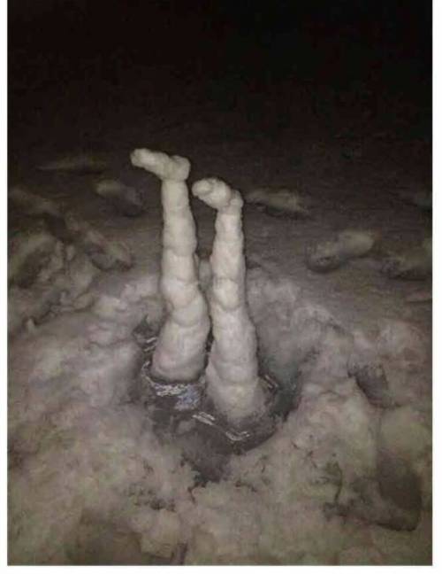 폭설 내린 일본 도쿄 근황.jpg
