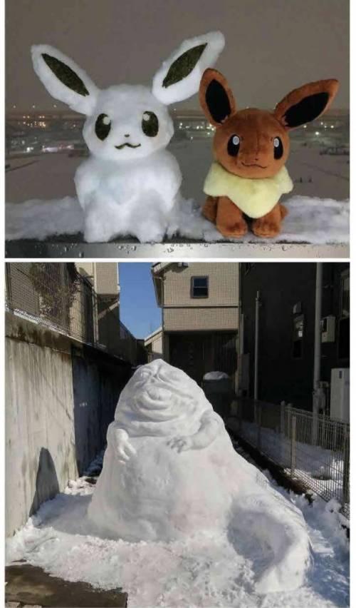 폭설 내린 일본 도쿄 근황.jpg