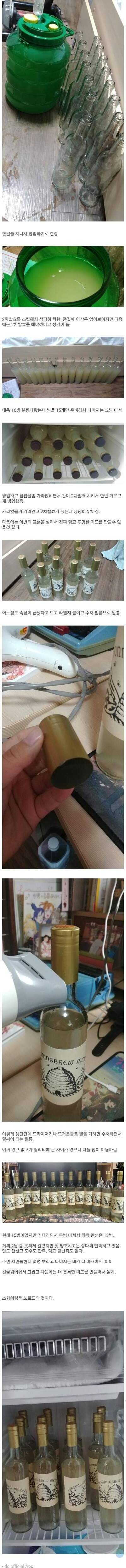 스카이림에 나오는 술을 직접 만들어보자