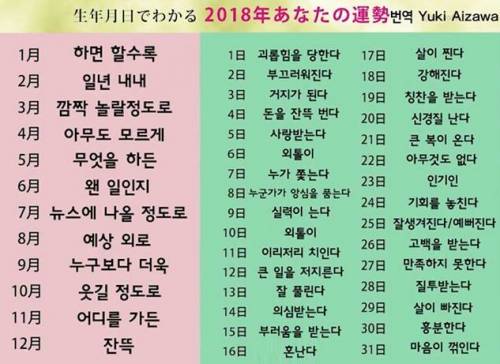 재미로보는 2018년 운세.jpg