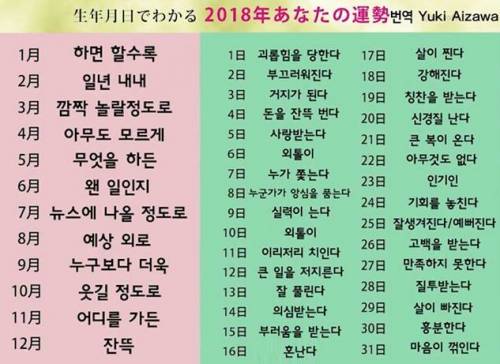 재미로보는 2018년 운세.jpg