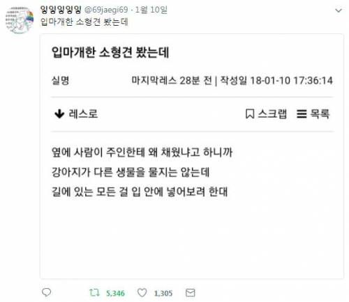 소형견에게 입마개를 씌운 이유.twt