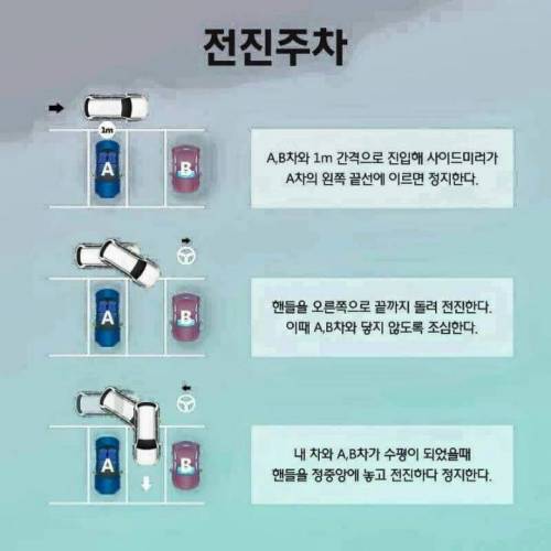 주차공식.jpg