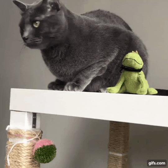 너 누구니.gif