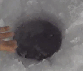 이 구멍은 뭐지?.gif