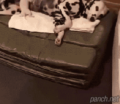 엄마는 심란하다.gif