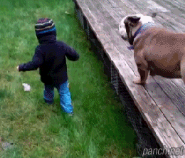흔한 어깨빵.gif