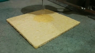 스폰지밥 탄생 과정.gif