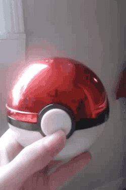 너로 정했다. 가라!.gif
