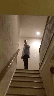 너로 정했다. 가라!.gif