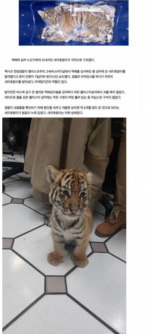 멕시코의 택배 클라스.jpg