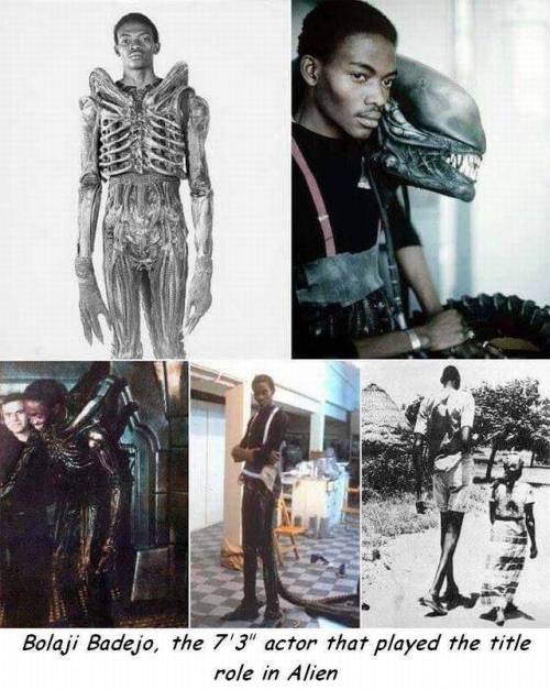 영화 에이리언을 연기했던 배우.jpg