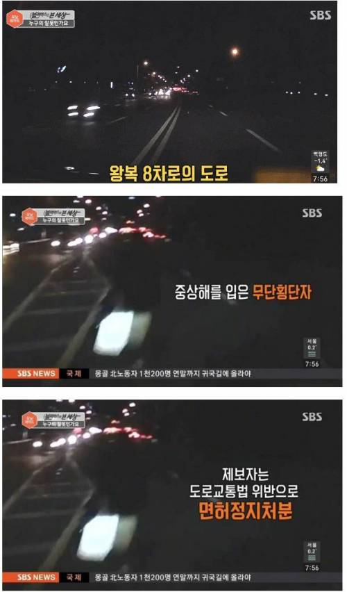 면허정지 받은 제보자.jpg