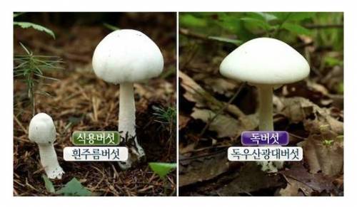 이승과 저승의 경계선.jpg