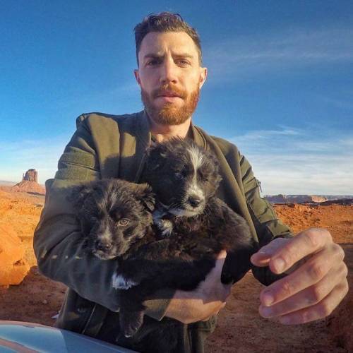 사막에서 버려진 개 두 마리를 구조한 뒤 여행 친구 함