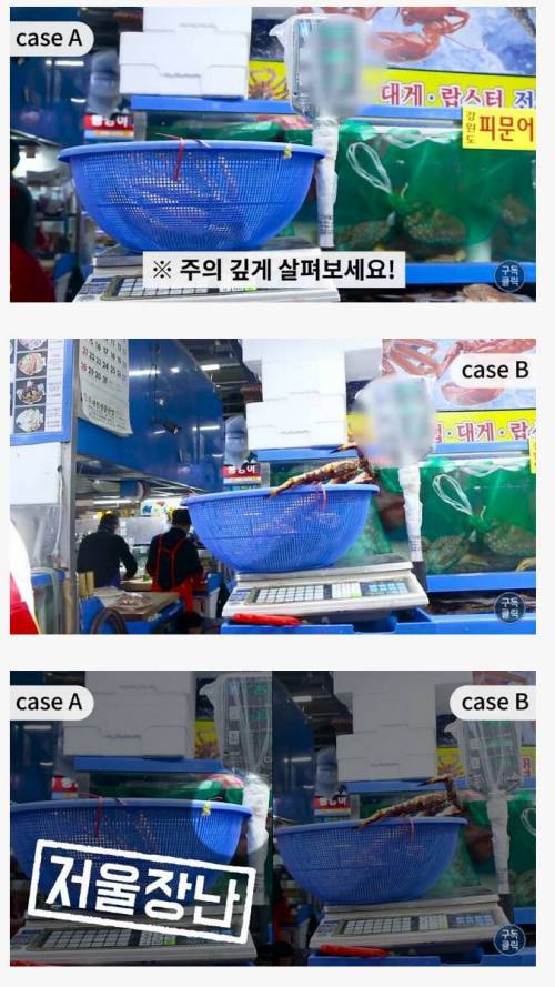 수산시장에서 호구 안되는 방법.jpg