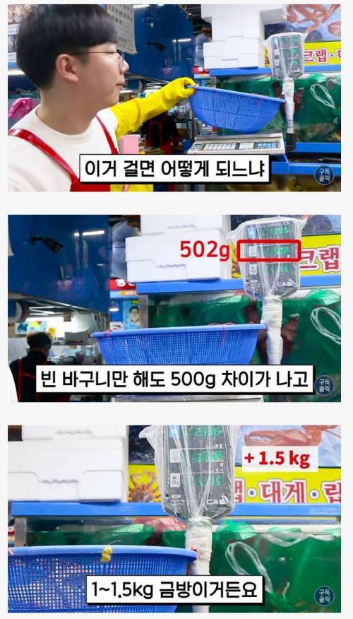 수산시장에서 호구 안되는 방법.jpg