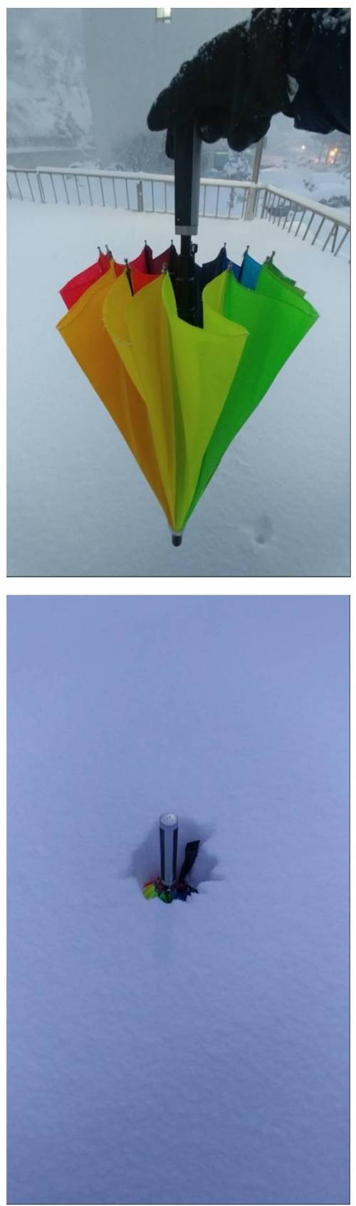 울릉도 폭설 상황.jpg