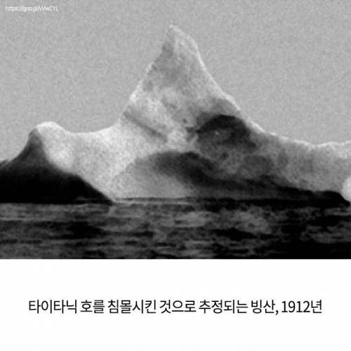 역사적인 순간을 포착한 사진들.jpg