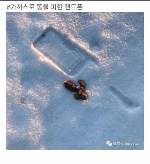 아찔한 순간.jpg