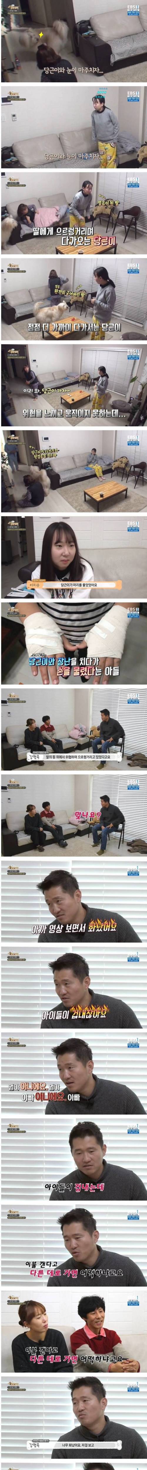 강형욱이 화가 난 이유.jpg