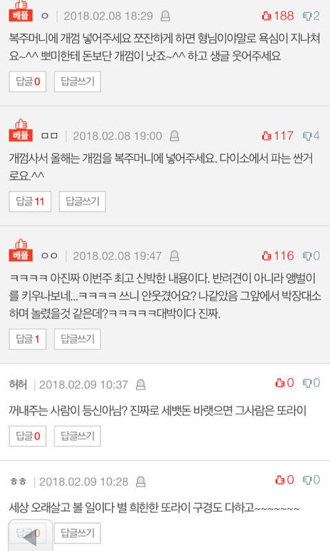 반려견한테 세뱃돈 줘야하나요?.jpg