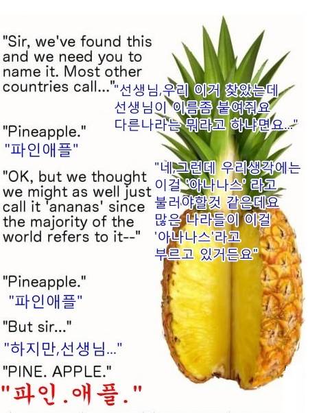 파인애플.jpg