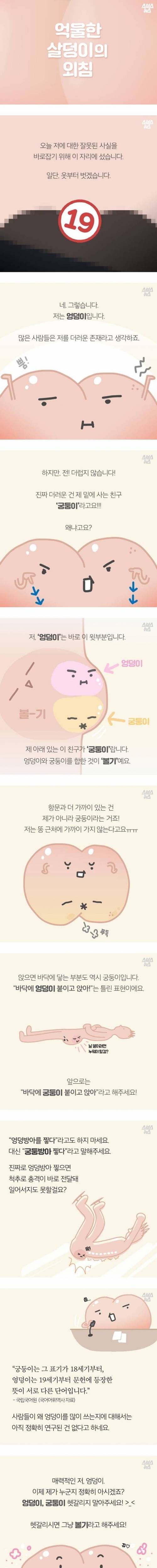 억울한 살덩이의 외침.jpg