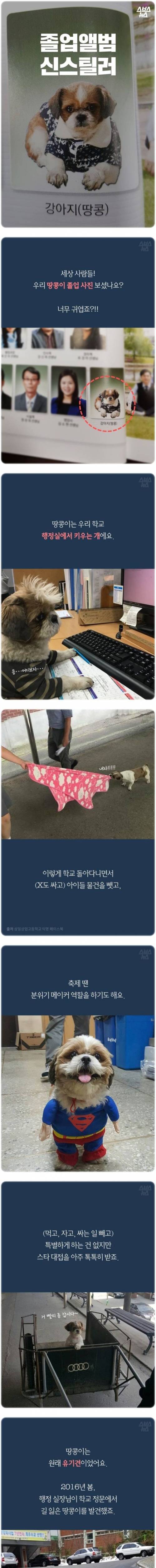 졸업앨범 신스틸러.jpg