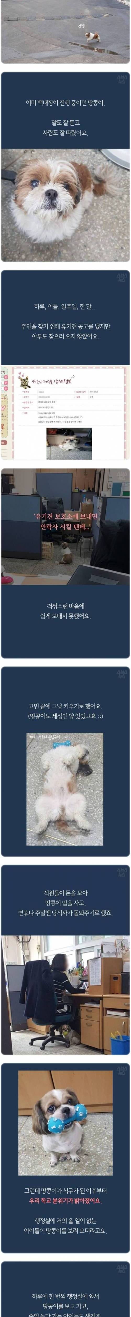 졸업앨범 신스틸러.jpg