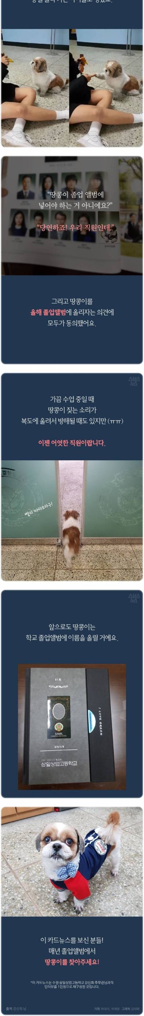 졸업앨범 신스틸러.jpg