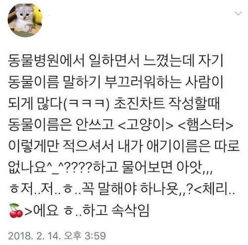 뜻밖의 수줍음.jpg