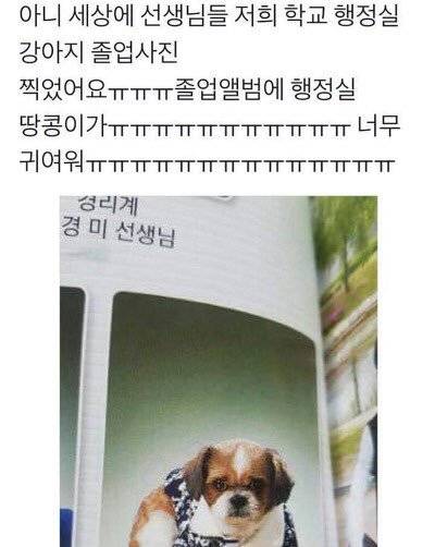 졸업사진 찍은 땅콩.jpg