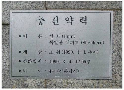 죽어서 소위로 추서된 군견.jpg