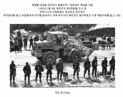 죽어서 소위로 추서된 군견.jpg