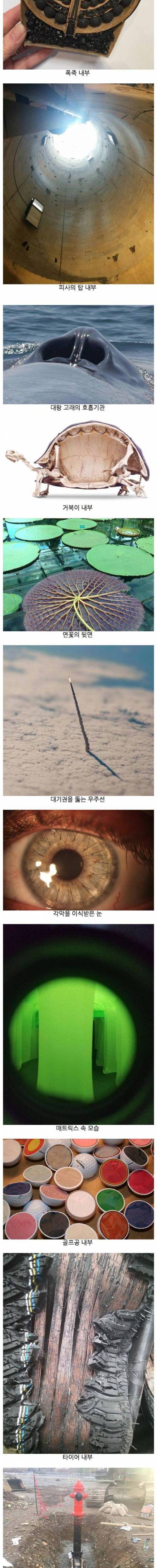 흥미로운 사진들.jpg
