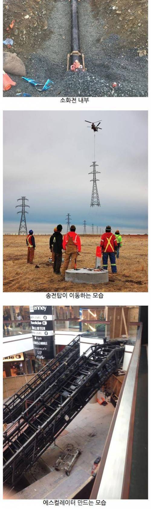 흥미로운 사진들.jpg