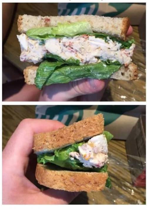 과대 포장류.jpg